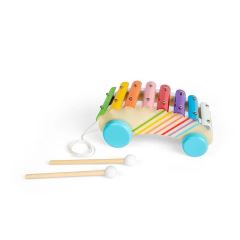 Bigjigs Toys Tahací xylofon (6)