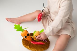 Edukační vzdělávací plyšová hračka -Zeleninová zahrádka (2)