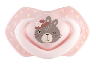 Canpol Babies 2 ks symetrických silikonových dudlíků, 0-6m, Bonjour Paris, růžová/šedá (1)
